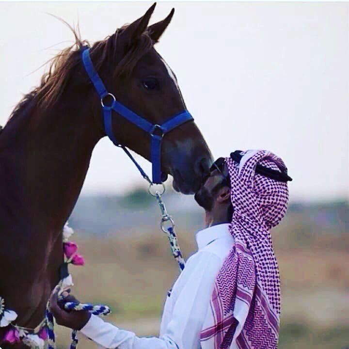 abullmr1's tweet photo. يشهد الله مالي نفس بغيرررره https://t.co/YEM5WpHNFg