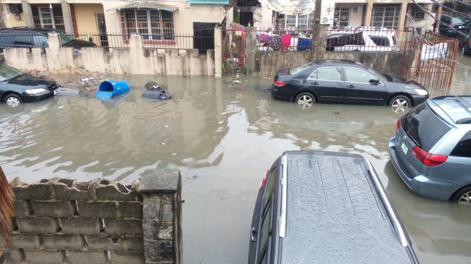 View image on Twitter