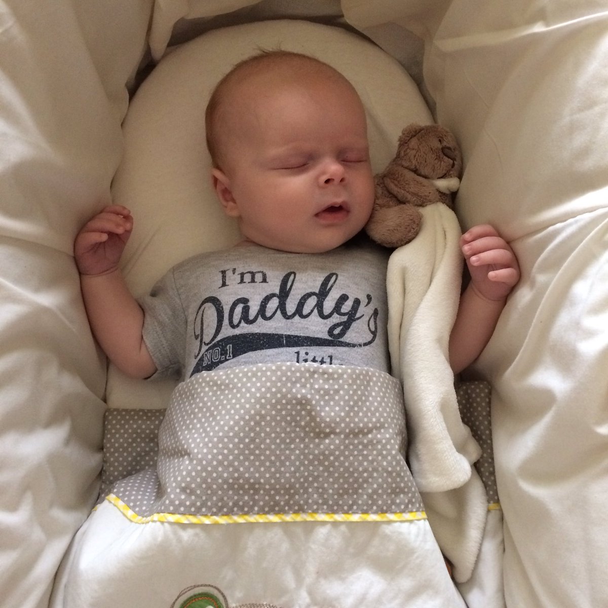 miette1983's tweet photo. &amp; now he's fast asleep. Cheers Rocko, good job I love you so much! https://t.co/pg3qEvqicM