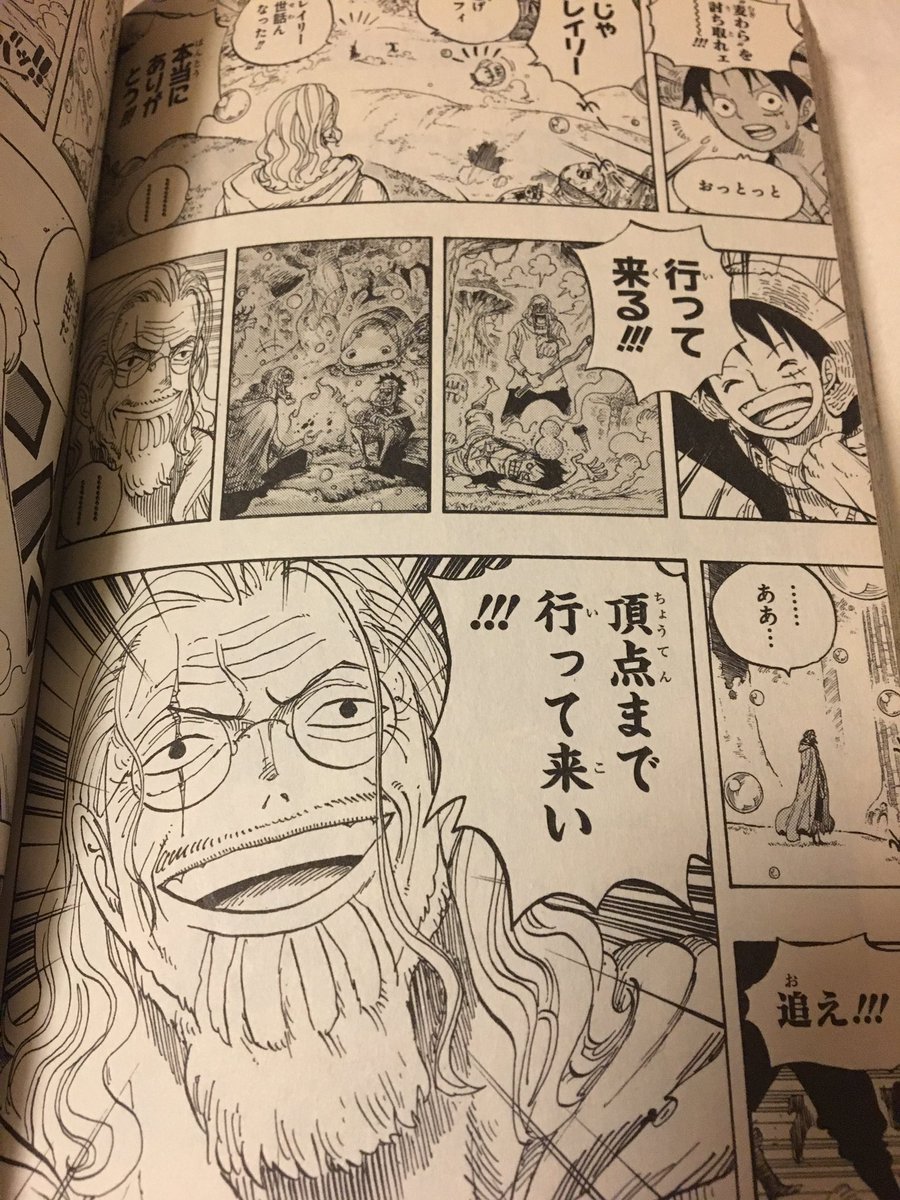 レイリーのワンピースでの名言まとめ かっこいいルフィの師匠は何を語る