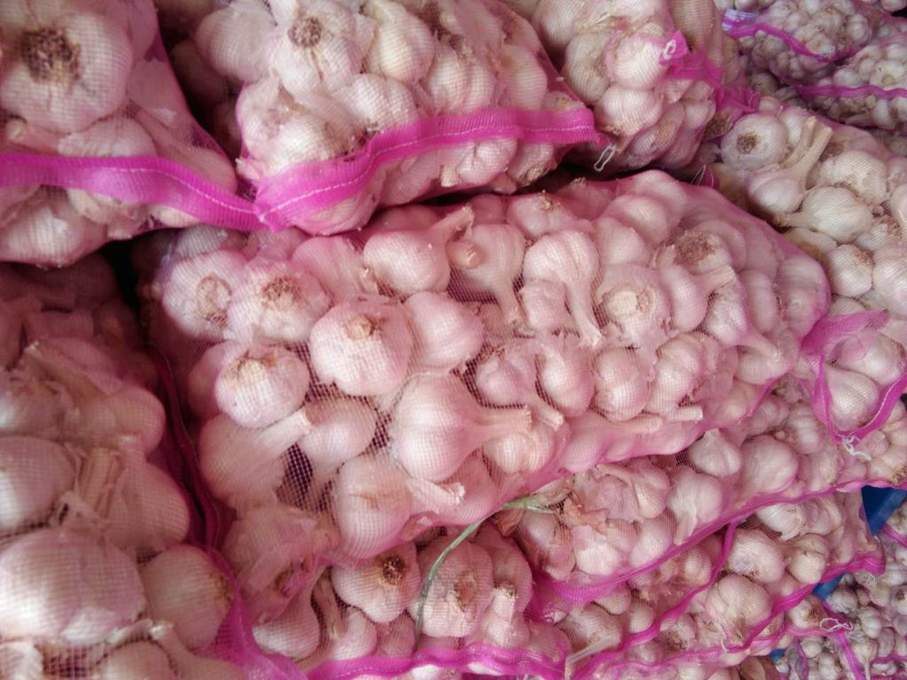 ChineseGarlic's tweet photo. Various specifications of garlic
If you need garlic, please contact me……WeChat18315718398          E-mail  ChineseGarlic@yeah.net https://t.co/0guuXhkZfA