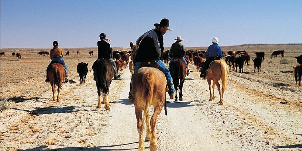 RURALRADIO147's tweet photo. Some people aim for that "Cowboy" dream, and just don't quite have what it takes. What's your favorite #CowboyFail? https://t.co/lAPGeO8sUz https://t.co/hY6AcLNwN0
