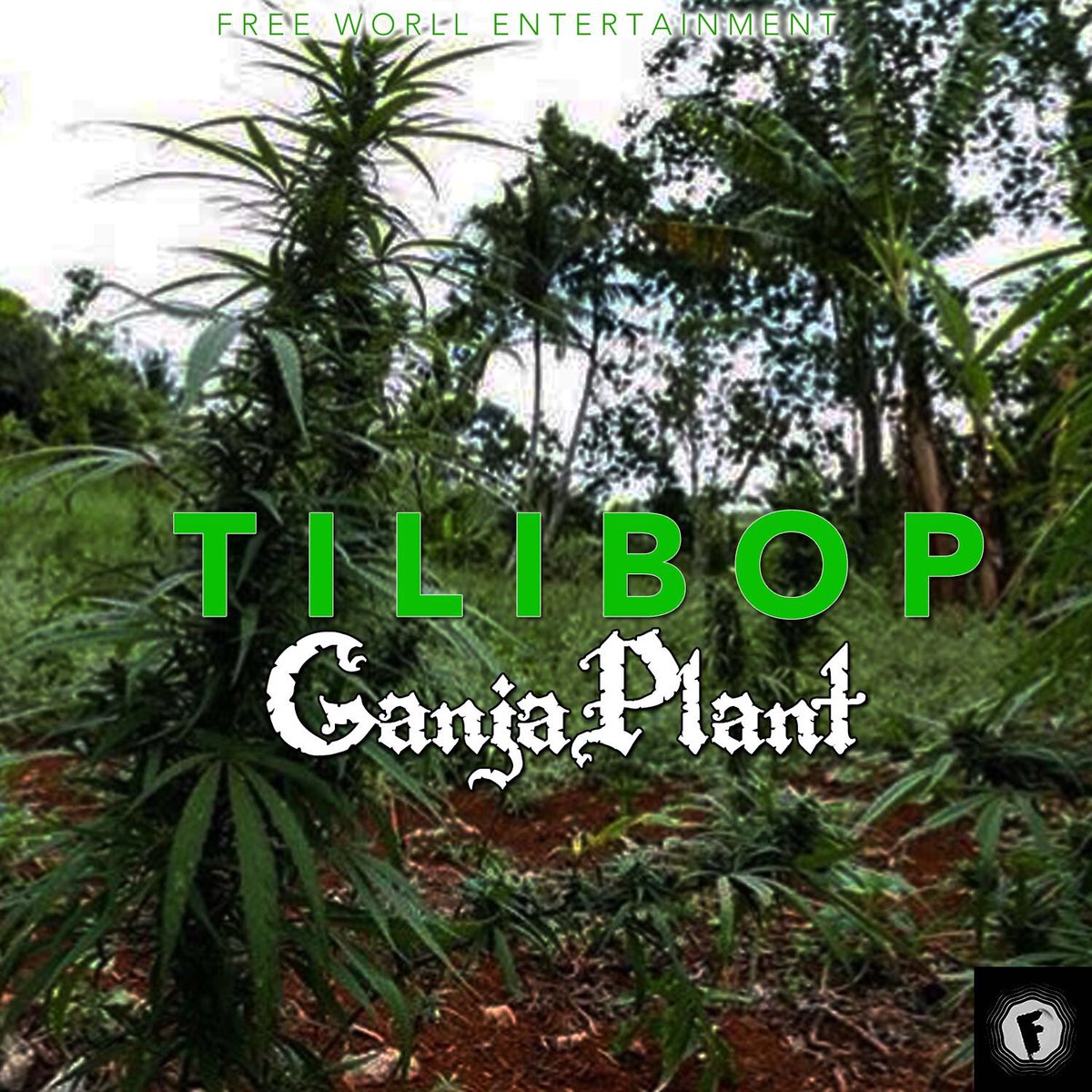 itsafreeworll's tweet photo. Tilibop Song #Ganjaplant is available for sale on all Digital Outlets Now,#Reggae #saturdaymorning #tilibop  #Freeworll #420 #marijuana https://t.co/2YYI5xSyV6