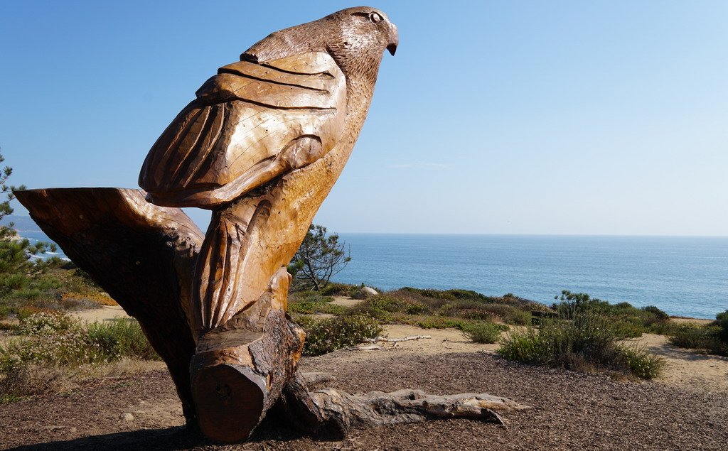 A final tribute to the 18 <a href="/Hyundai/">Hyundai USA</a> #NewSonata from the road. A Bird of Prey watching over the Pacific for marauders cleanmpg.com/community/inde…