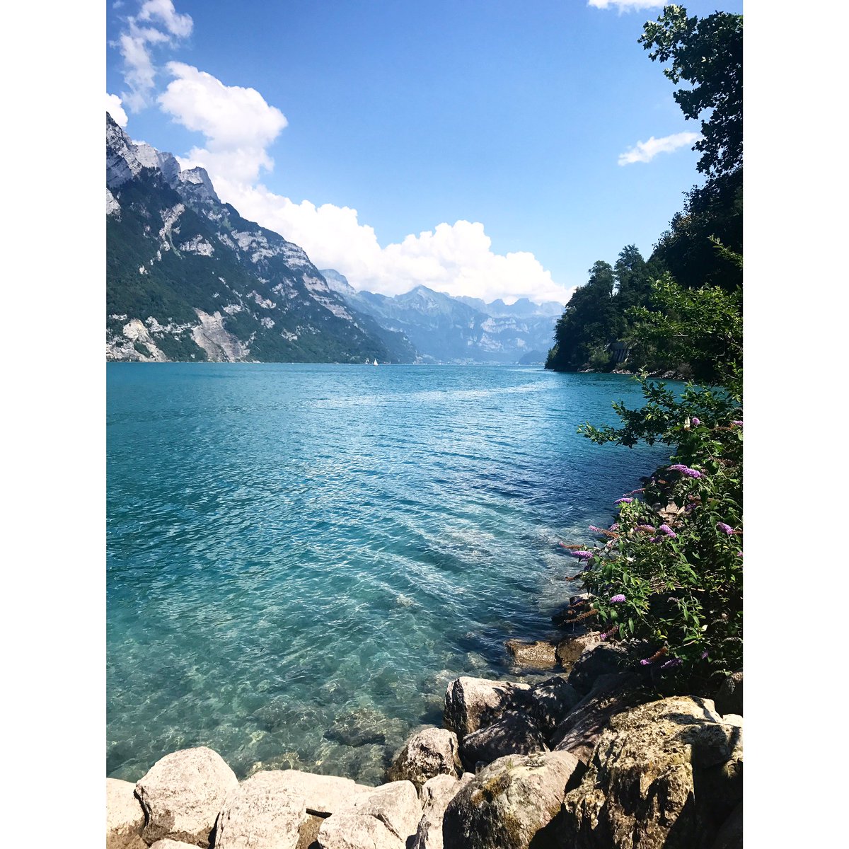 HolmKicki's tweet photo. ❤️⛰🇨🇭 #wallensee #Switzerland https://t.co/UJo4FdDPPb