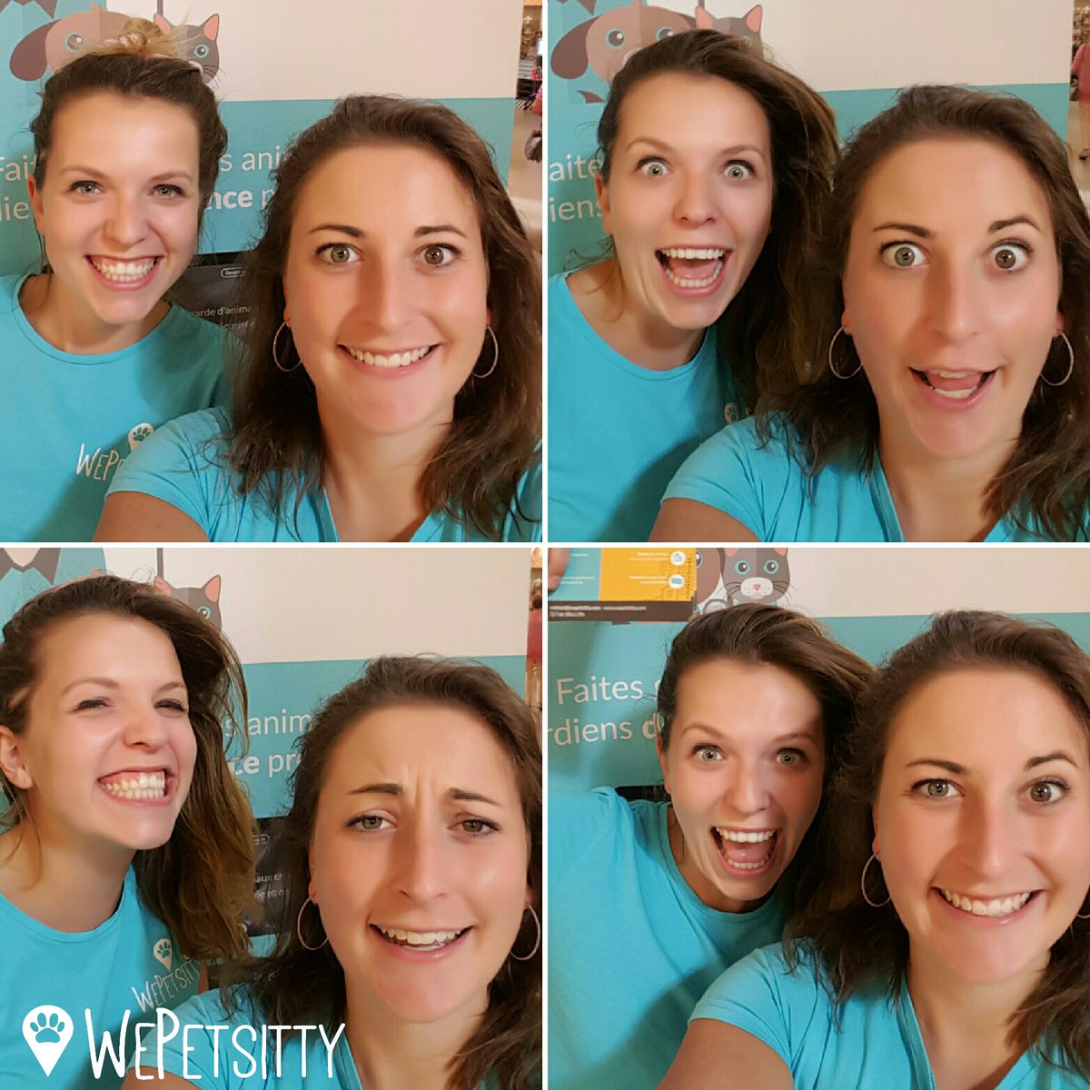 WePetsitty® tweet media