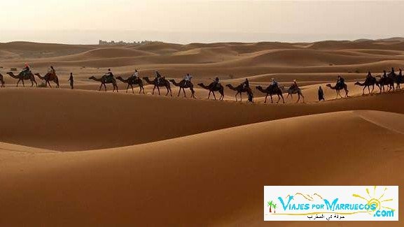 Pormarruecos's tweet photo. #viajespormarruecos #rutasmarruecos #excursionesmarruecos #tourmarruecos #aventuramarruecos https://t.co/gveXjW5rXH