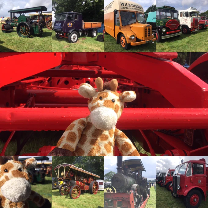 Image from Ben The Giraffe (@ben_the_giraffe)