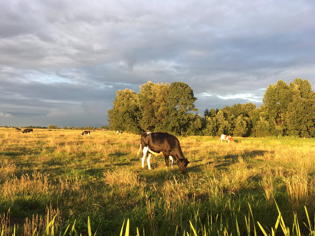 Schitterende #luchten in #middendelfland