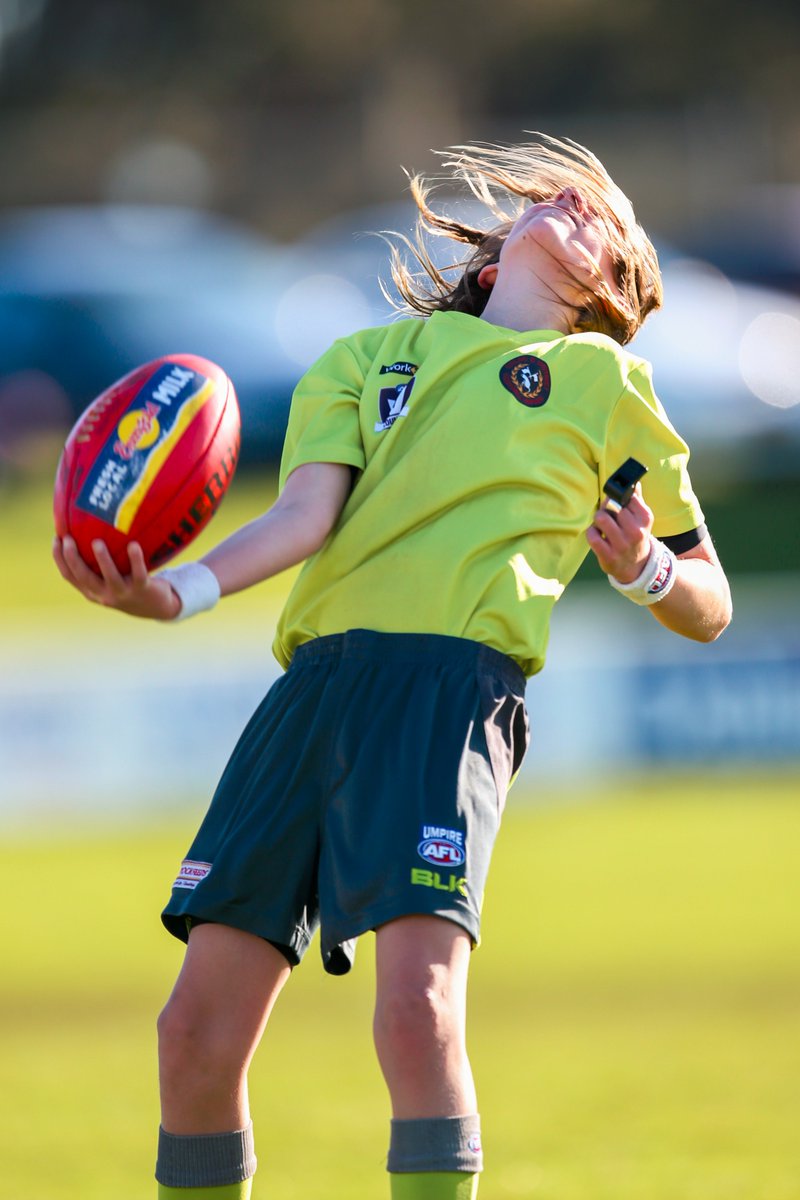 m_hancock29's tweet image. A young umpire throws the ball in during today's football. #UmpireAFL #AFL #WDFNL @AFL_WD @WboolStandard