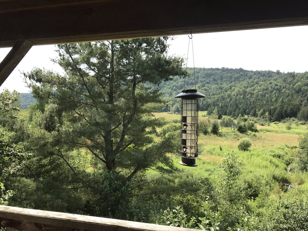ShawnTWrites's tweet photo. Today is #IntoTheWords w/ @vtwriters -- I helped @creekroadpoet set up last night in Irasburg #Vermont https://t.co/foyJbPMFZq