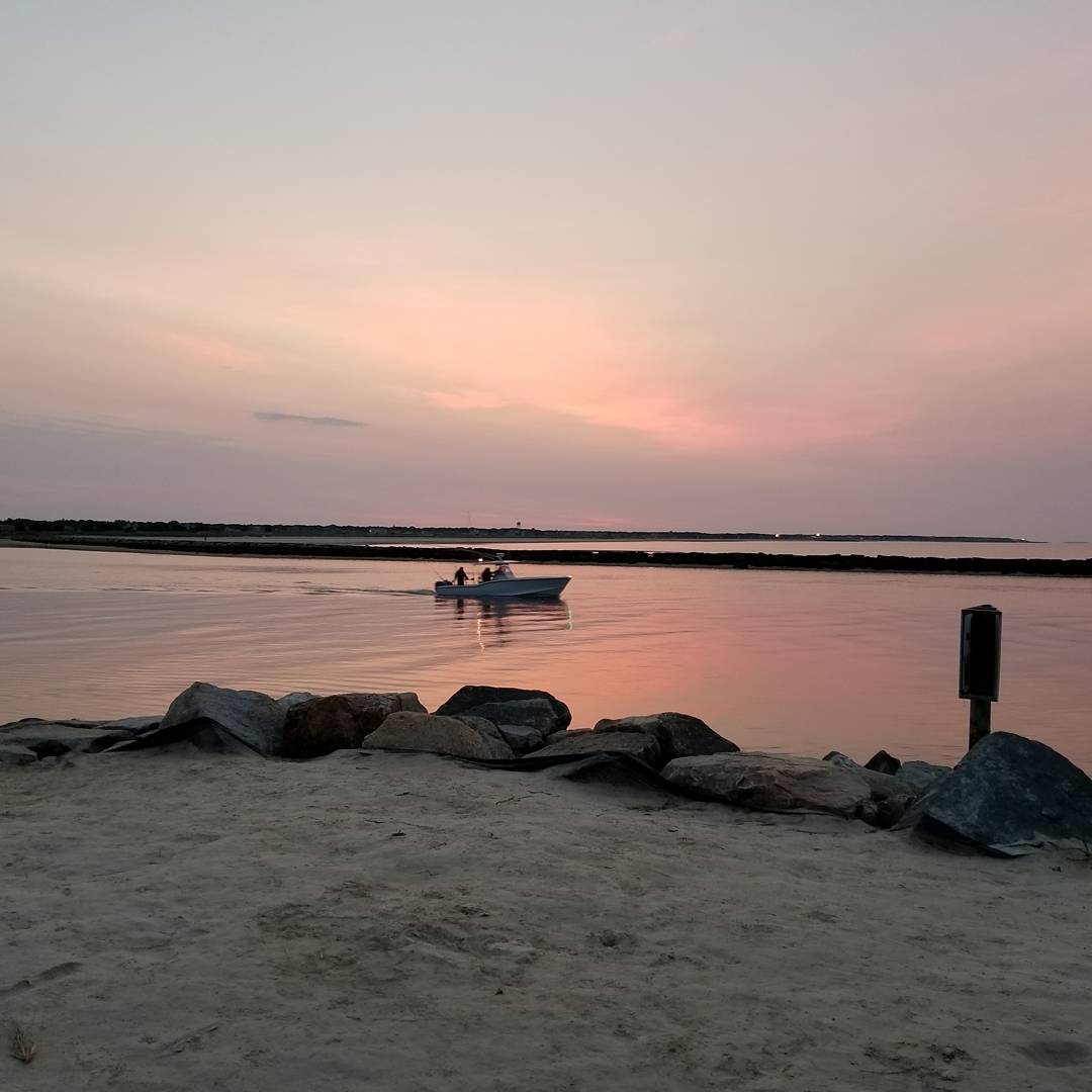 Joshua Reynolds tweet media