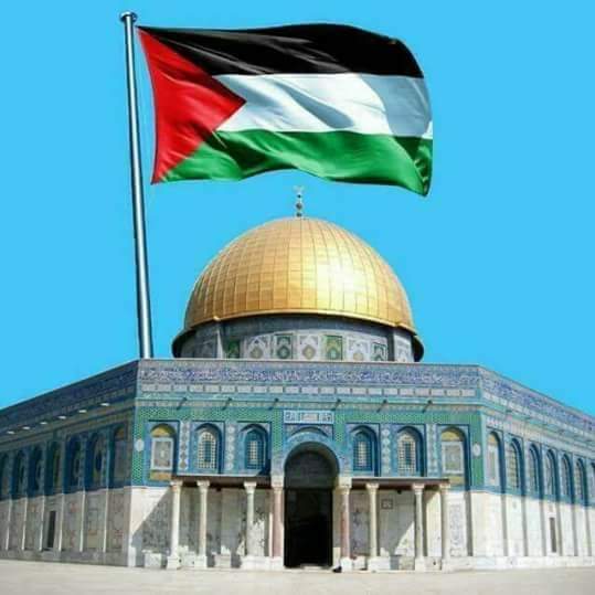 AsalaHussain's tweet photo. #NewProfilePic https://t.co/BGXWy3f7KT