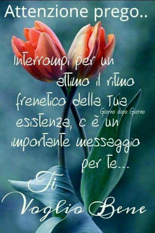 yumizorba's tweet photo. @BiagioAntonacci #BiagioAntonacci #Seguiamoci
#NonDeviPerdermi
Più che altro in Alcuni momenti interrompi Certi Pensieri.
BuonSabatoLoVe❤ https://t.co/8ZX9xeXpPG