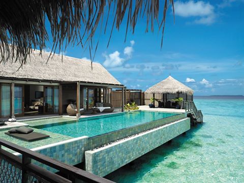 cheapticketuk's tweet photo. #Maldives never fails to impress its guests! #travel https://t.co/zqvosGHa6A