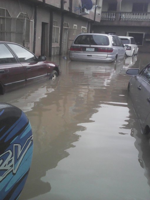 View image on Twitter