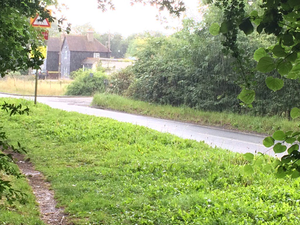 LindaOSully's tweet photo. Summer running g....don't you just love it?! #itsonlyashower https://t.co/cLqxjy5zTS