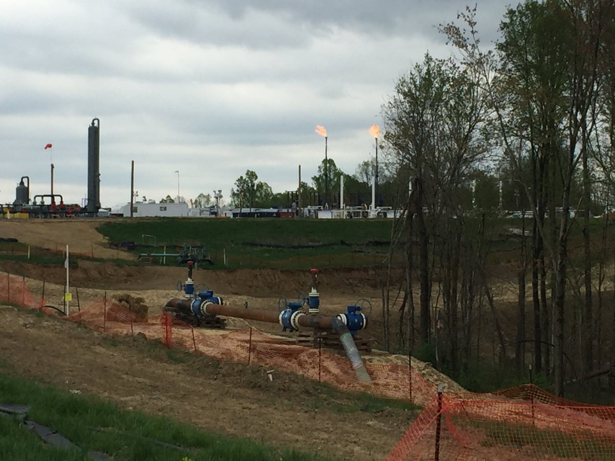 OhioEnviro's tweet photo. #Fracking Ohio's only national forest threatens endangered mussels and bats #EndangeredSpeciesAct #SavetheWayne https://t.co/P6G9GU3EEV https://t.co/J7hgpqpzP8