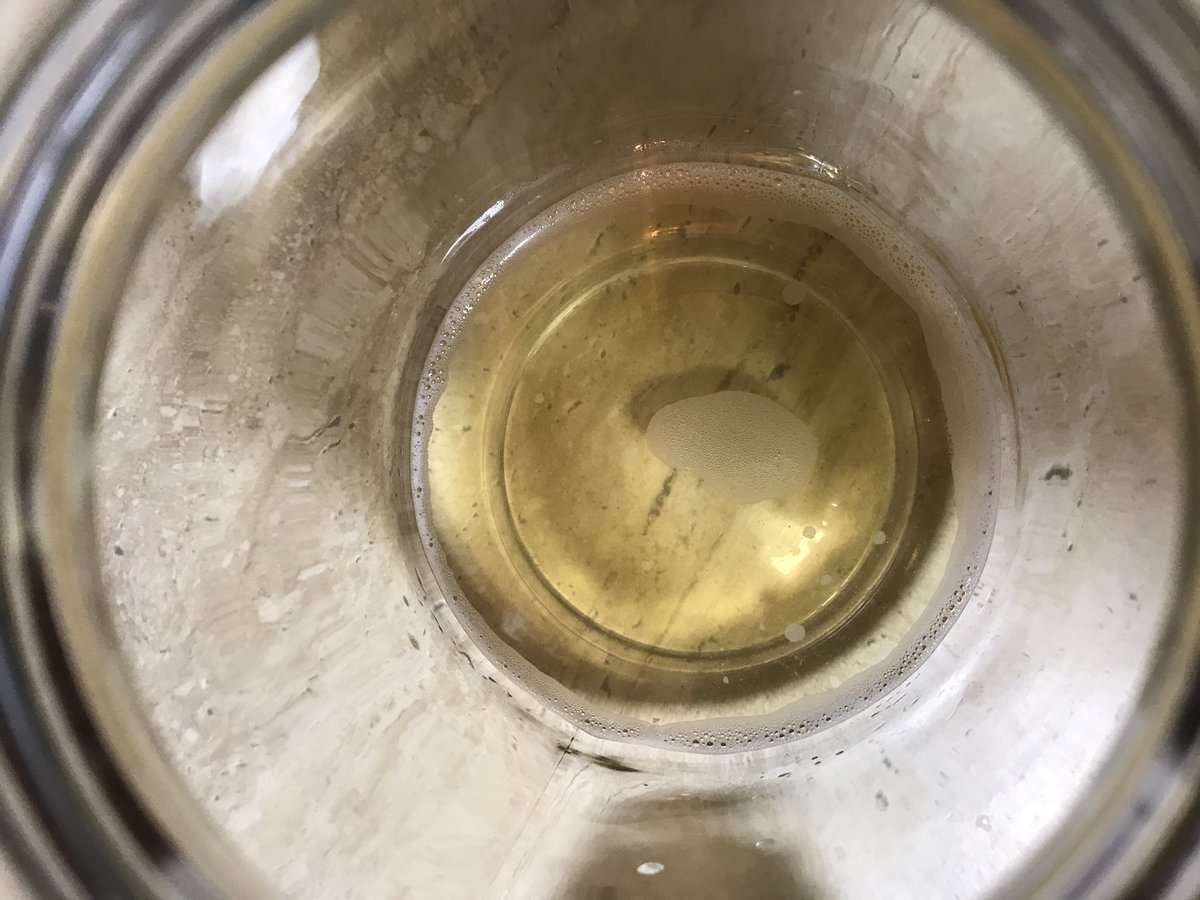 dalwray's tweet photo. Attempting to create my first #scobi with #kombucha & sweet black #tea Recipe says I should know in 7 days if I am successful. https://t.co/9WorwUga1a