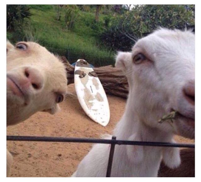 ChloeDMQT's tweet photo. Quand tes parents essaient Snapchat pour la 1ère fois https://t.co/JzqHQe2woQ