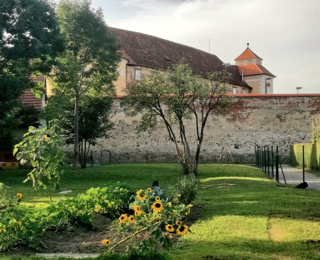 LetsGoSlovenia's tweet photo. Slovenska Bistrica Castle is still a real palace, with a beautiful castle park! Magic found ... 🏰 #slovenskabistrica #castle #Slovenia https://t.co/WMXPTBaQuZ