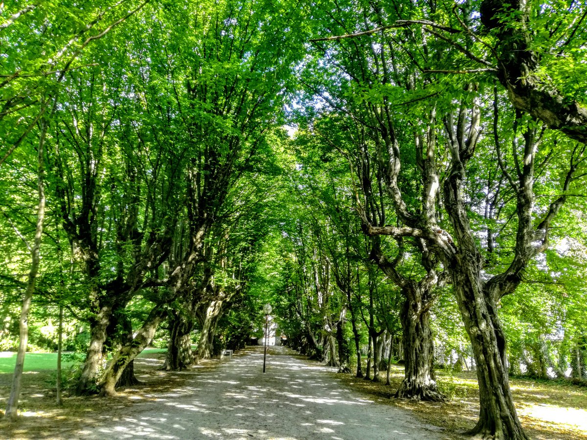 LetsGoSlovenia's tweet photo. Slovenska Bistrica Castle is still a real palace, with a beautiful castle park! Magic found ... 🏰 #slovenskabistrica #castle #Slovenia https://t.co/WMXPTBaQuZ