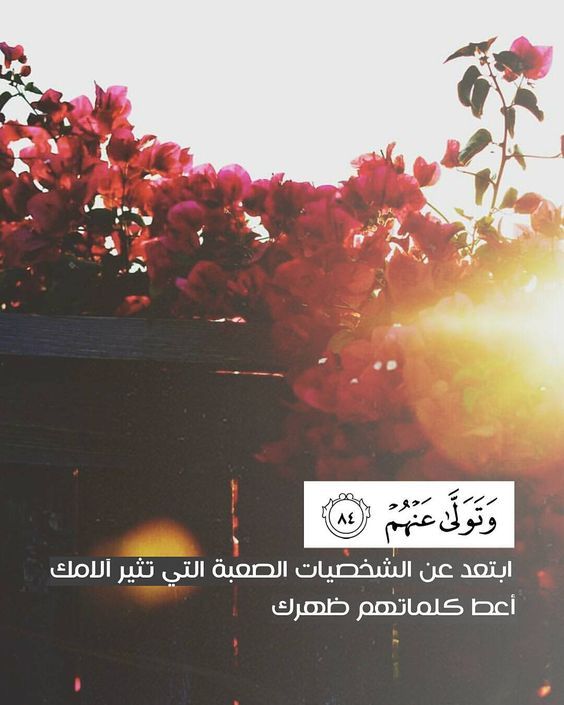 #دعاء #حديث #قرآن #دار_الاسلام