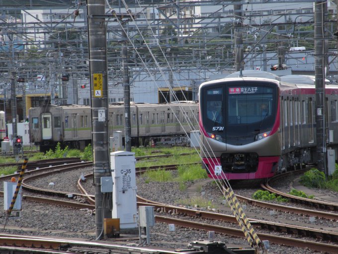 むささびさん の最近のツイート 7 Whotwi グラフィカルtwitter分析