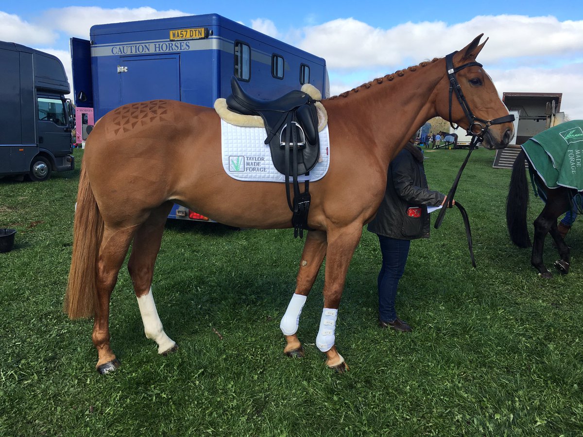 Massive thank you to <a href="/tmhaylage/">Taylor Made Forage</a> and <a href="/TopSpec2/">TopSpec</a> Our horses look amazing thanks to their top quality haylage &amp; feed #besthaylage #fedontopspec