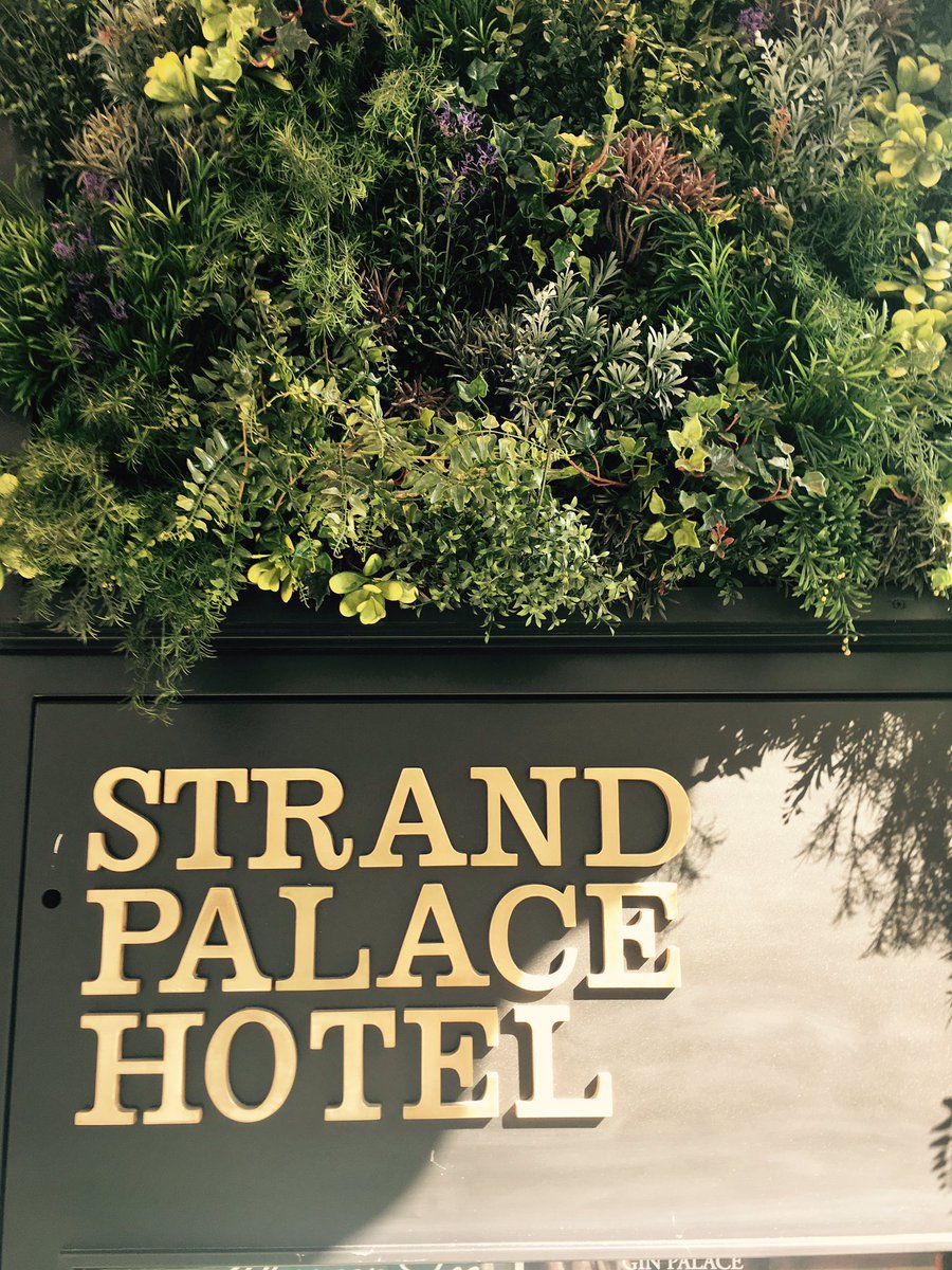 DG Theater tweet media