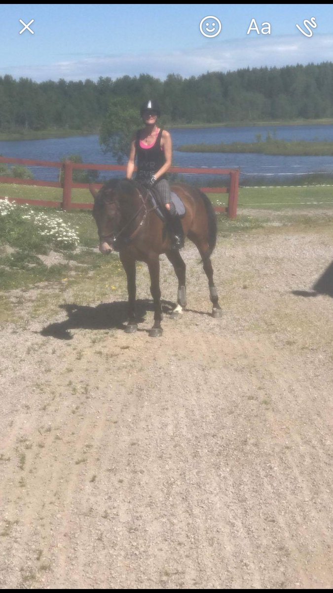 Therese rides Viktoria horse pillow 🏁👍