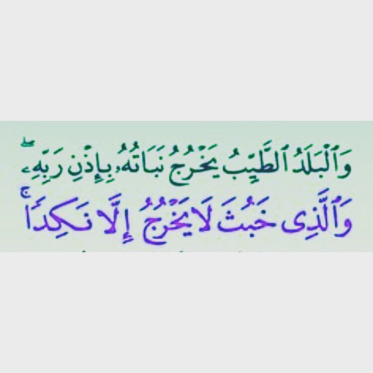 sendmalek tweet picture