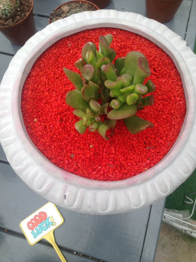 HumeraMathia's tweet image. 