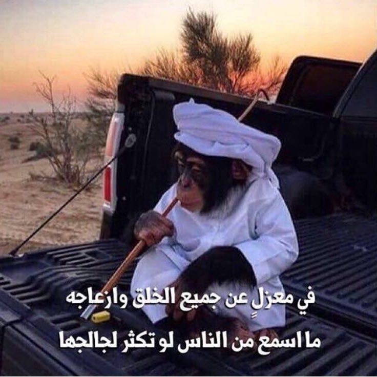 mondd_20's tweet photo. #صورة_جديدة_للملف_الشخصي https://t.co/HWogVZWKNH