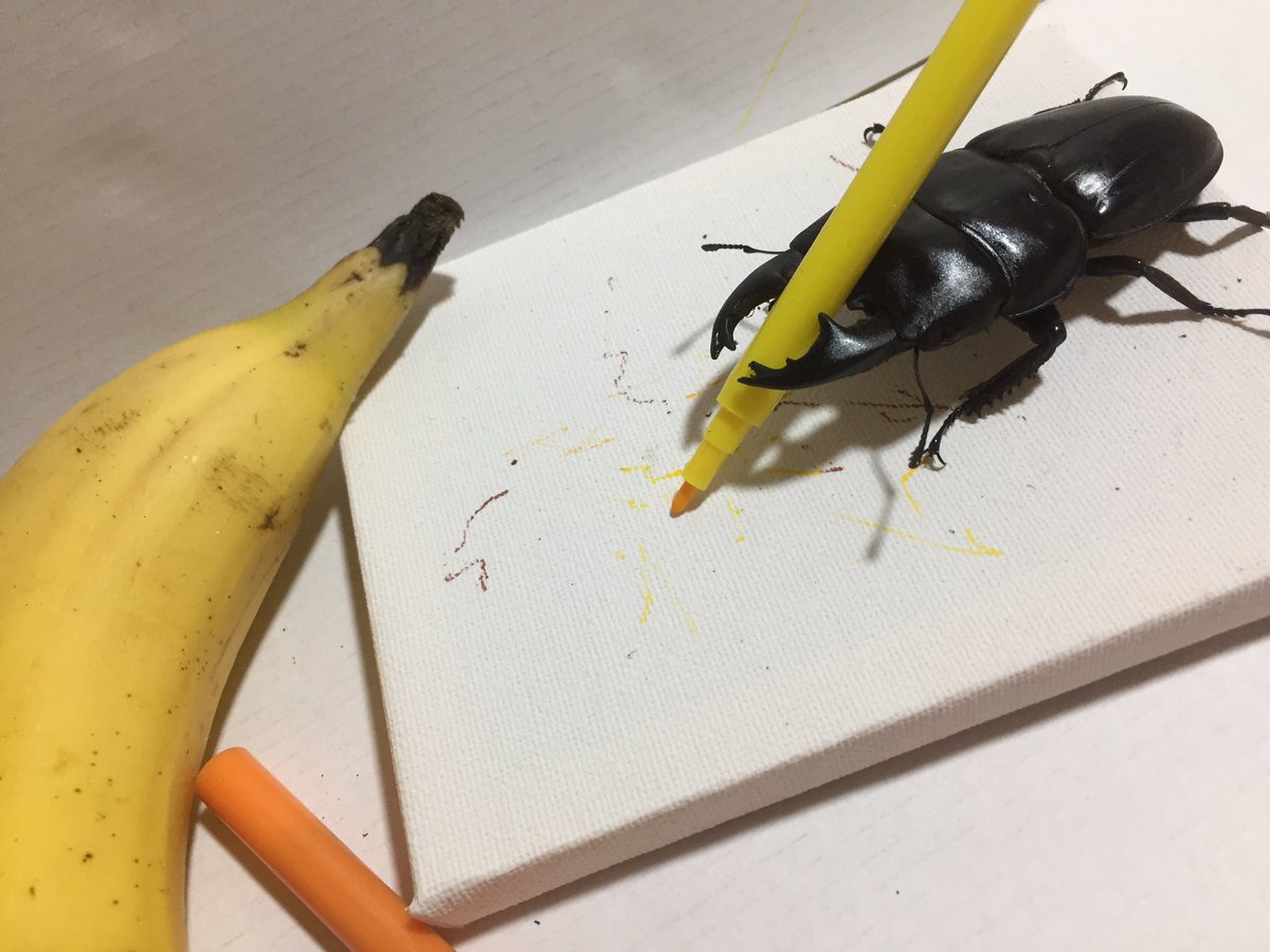 SpikeTheBeetle's tweet photo. Get inspired by what you love 🍌 https://t.co/U4ZLAYn0rs