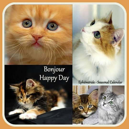 Mary_Zarifah's tweet photo. #good_morning #Bonjour #Bonne_journée
#happy_Saturday #Happy_day #22july2017
#صباح_الخير🌸🌸 #صباح_السعادة🌸🌸
#بنت_المسيح https://t.co/gnWsxBYr6R