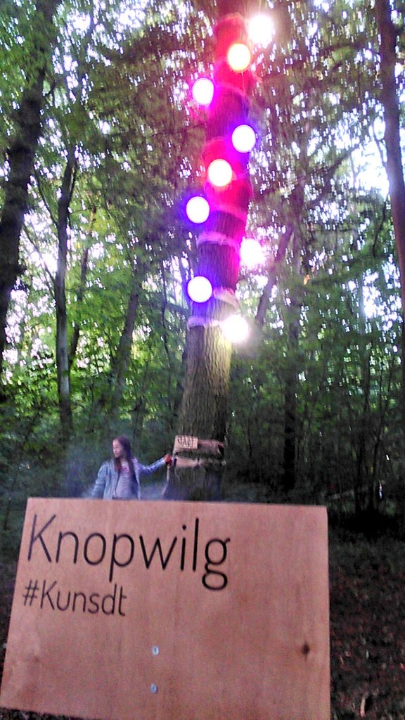 Nou heb ik toch wel enige kennis van tuinplanten maar deze boom kende ik niet : de knopwilg zag ik gisteren op het <a href="/YAFestival/">Young Art Festival</a> #kundst