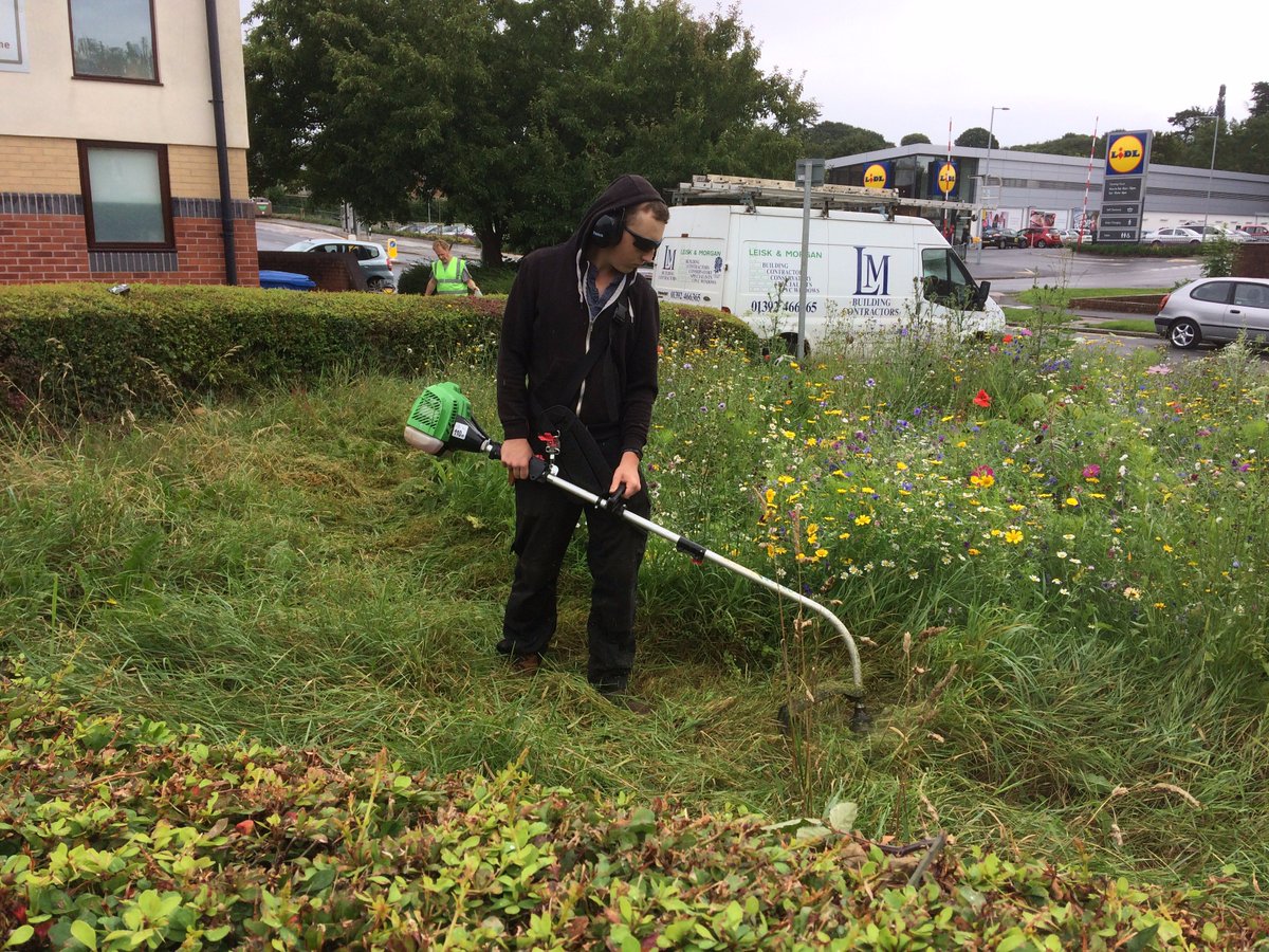 wonfordplanters's tweet photo. In prep for SW in Bloom IYN judging on Monday, bees love our flowers #pathtowellbeing @WellbeingExeter #bees #wildflower @DevonWildlife https://t.co/CSZMqi35X8