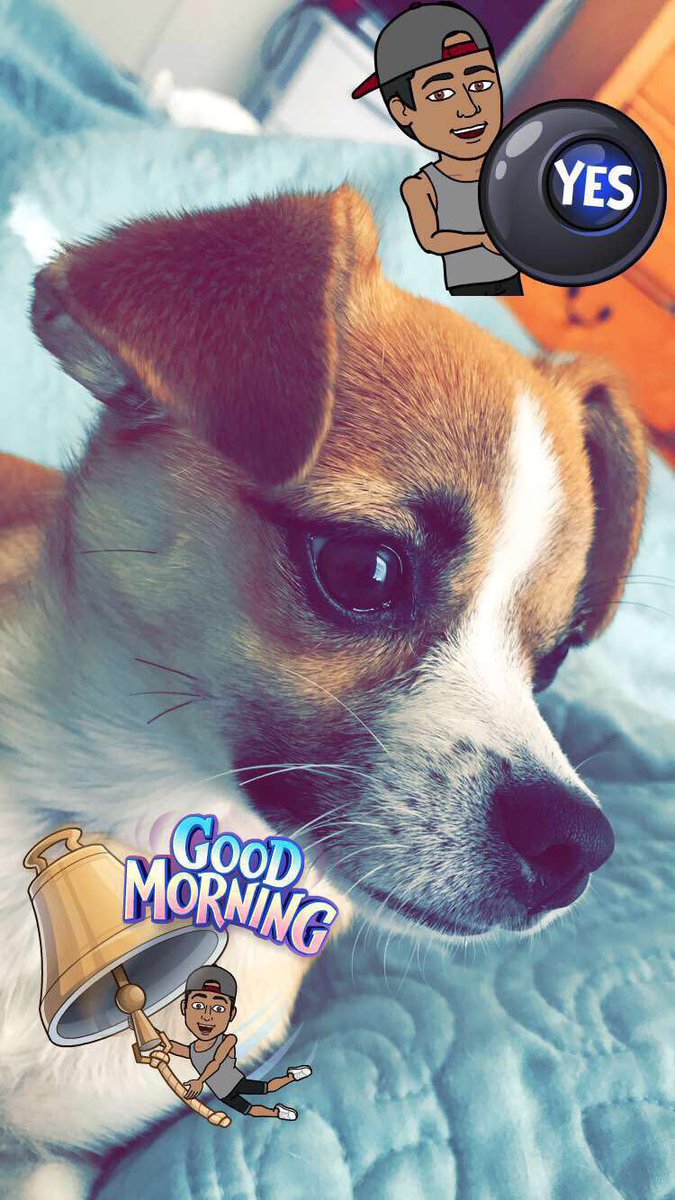 YUnderstanding's tweet image. Meet SKY my baby is going on 6mo baths today💘🎊🎁