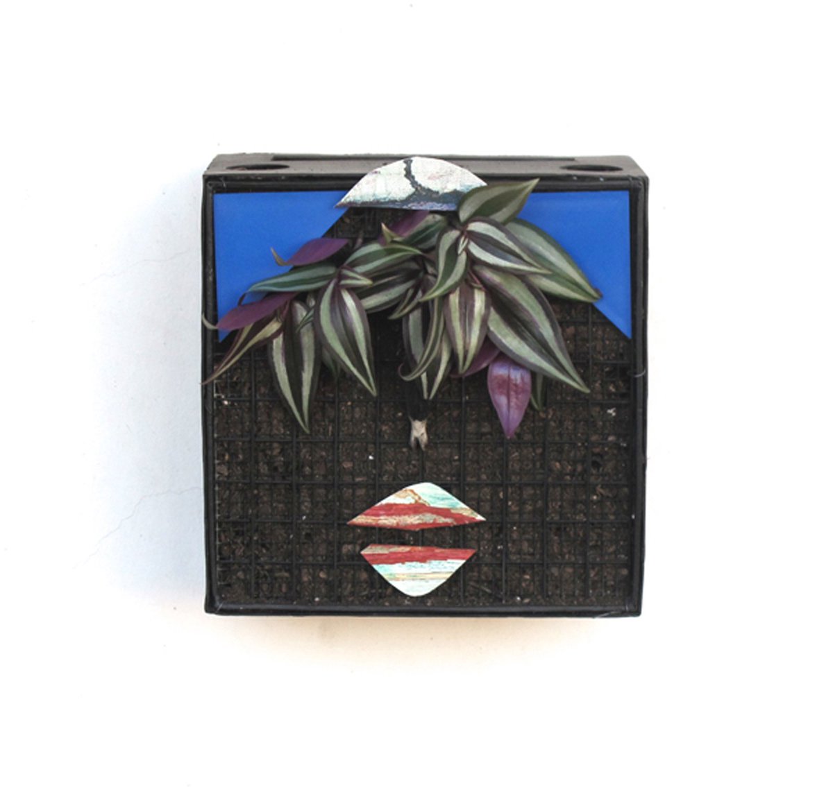 Biomima_Hub's tweet image. BIONIC LUBA - BIONIC PAINTINGS / CUADROS BIÓNICOS honevo.com #bionicpaintings #cuadrosbionicos by #honevo #green #art