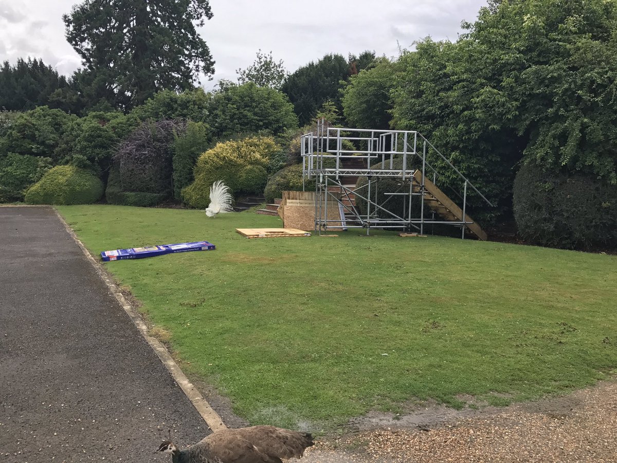 pendleyshakes's tweet photo. Our feathered friends just testing out the strongest positions on stage before the actors arrive tomorrow 🦅#pendfest2017 https://t.co/ph56hIFIpO