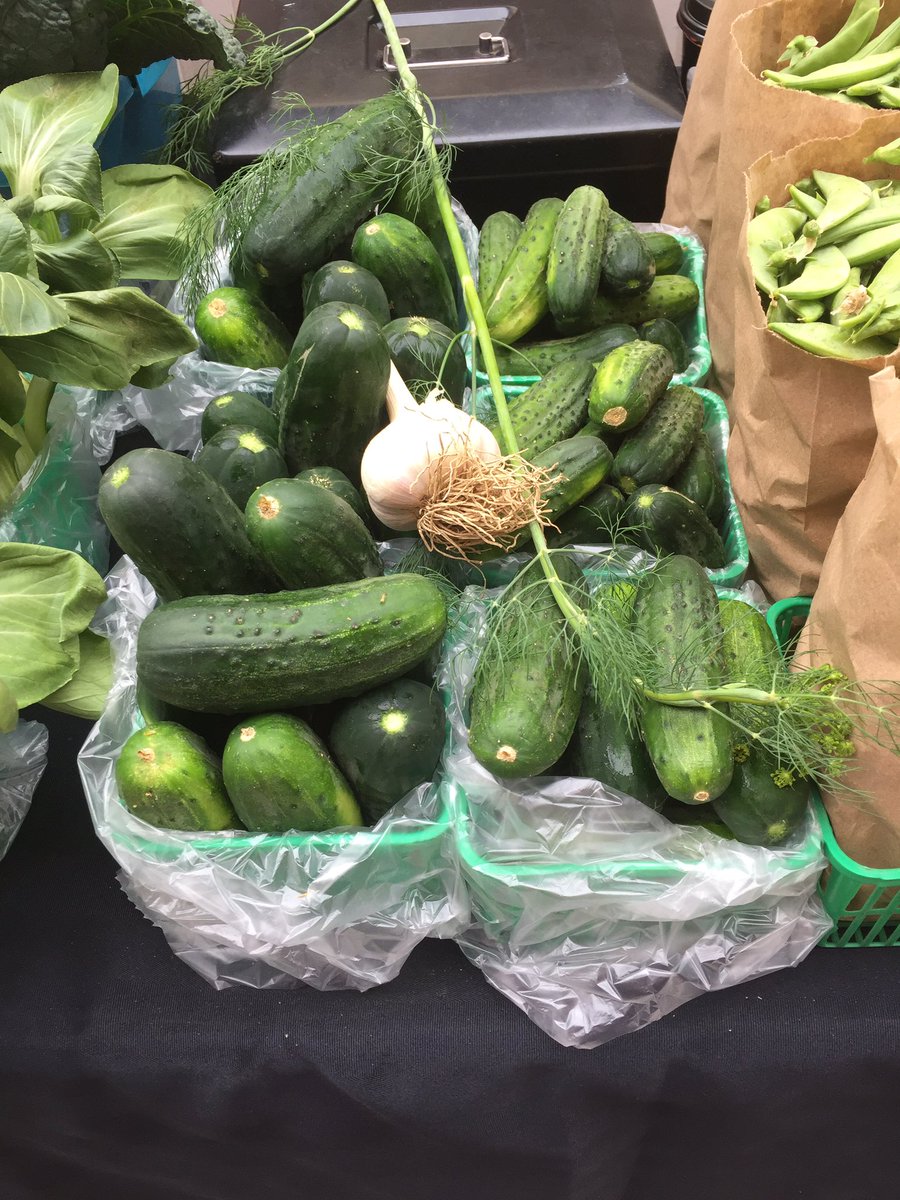 It's that time again!! Cucumbers, garlic, dill... Get Your Pickle On #ldnont @WFFarmerMkt #supportlocal
