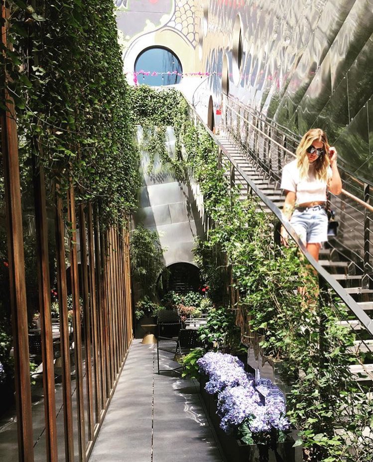 AshBenzo's tweet photo. Fun staycation 🌴🌴🌴 https://t.co/nFxlgXFfsy