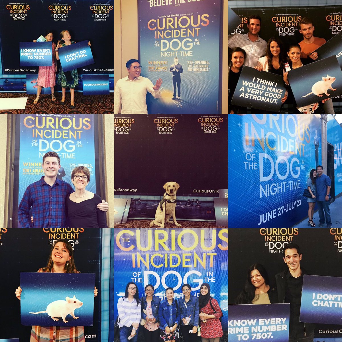 atgsanfrancisco's tweet photo. Today is a good day, thanks to @CuriousBroadway! β¨ #CuriousSF https://t.co/jM2wUaNoXV