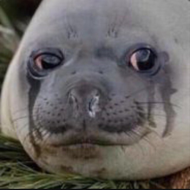 ParticularlyBlu's tweet photo. Me rn https://t.co/hZi1tsukIe