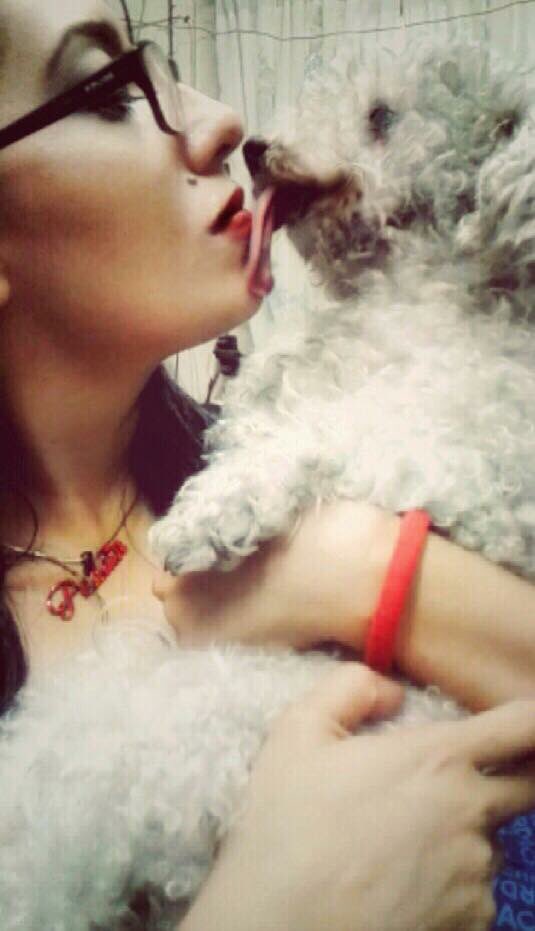 Peludos de Harley tweet media