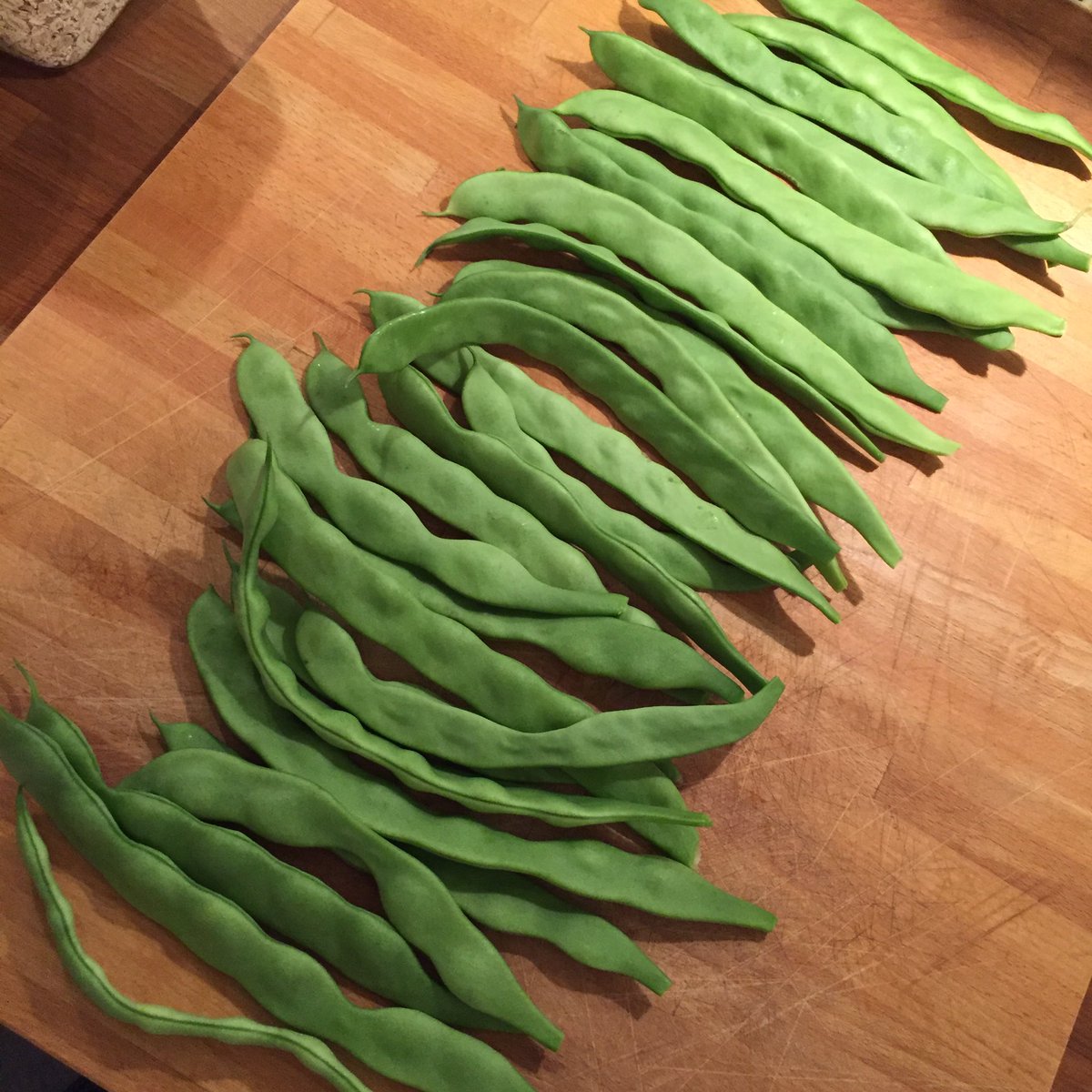 nicktheguitar's tweet photo. @JackieLeonard01 #beanWars update: didn't want dinner, thought I'd fry a few beans. Whoops. https://t.co/huIsmSYnMB