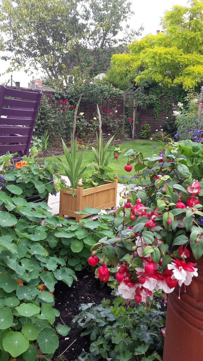 debbieminnikin's tweet photo. The garden this evening! #relaxationzone xx https://t.co/qbmlr5lyxl
