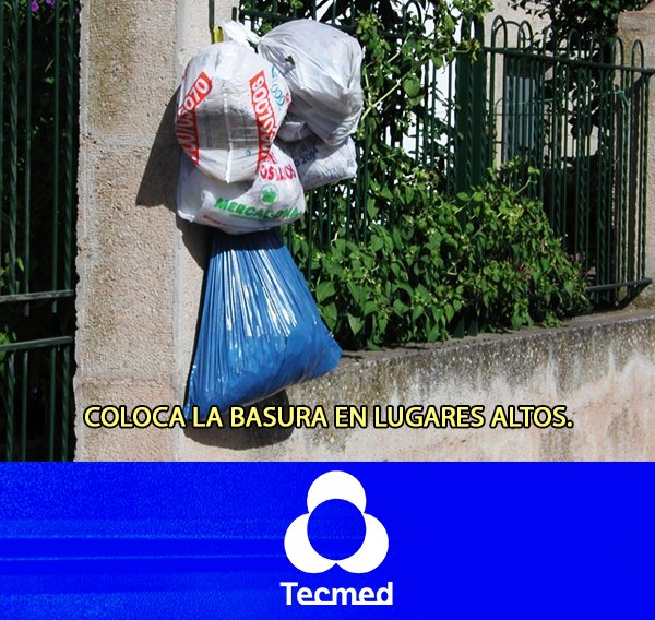 TecmedObregon's tweet photo. #TemporadaDeLluvias
Con esto evitarás que llegue el agua a ellas y también algunos animales.

Visita:
https://t.co/4lTuL2B2Gd https://t.co/4T4YKhaaeP