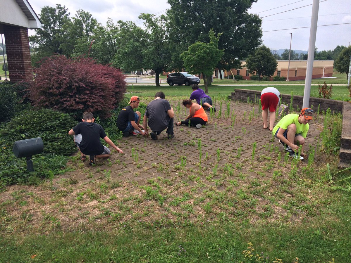 DeMolayWM's tweet image. Time to remove some weeds and help the lodge look a little nicer